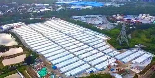 1658992178832587Q5Ky.jpg 640 (2).jpg